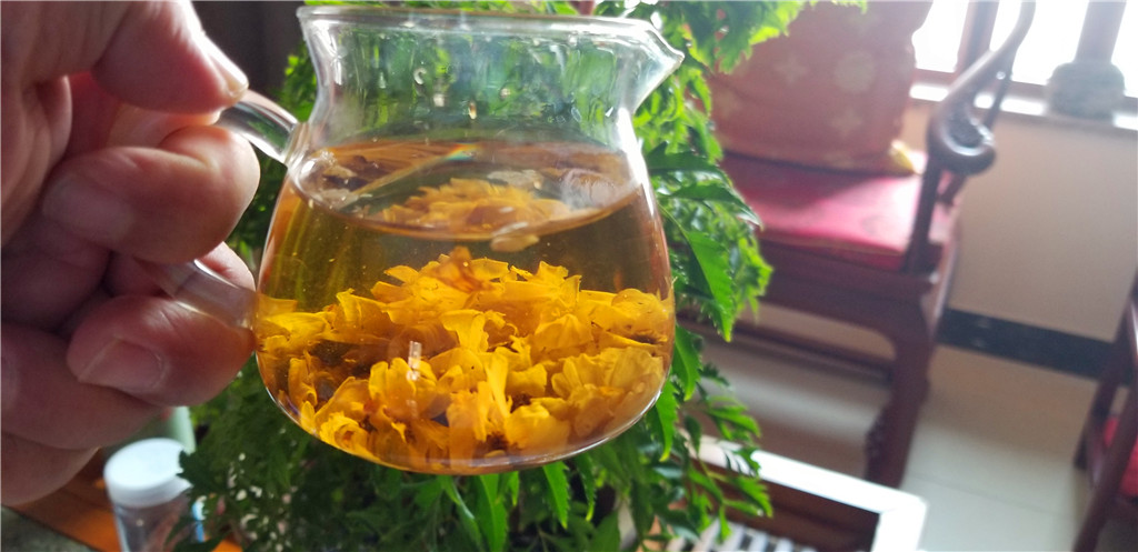 藏一片纯净多一份健康：尼雅昆山雪菊体验