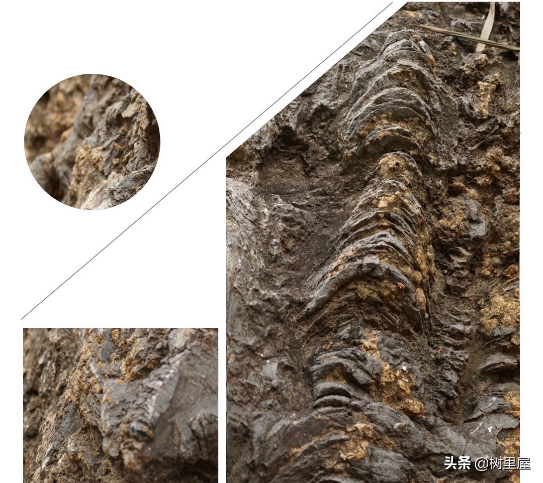 #福西探店#002——苏州本色美术馆