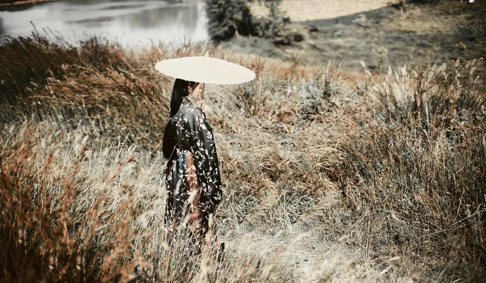 隐忍待发深度好文,取舍深度好文推荐