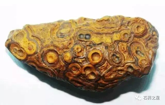 捡石头的注意了这十种石头别瞎捡,捡到石头千万不要扔掉