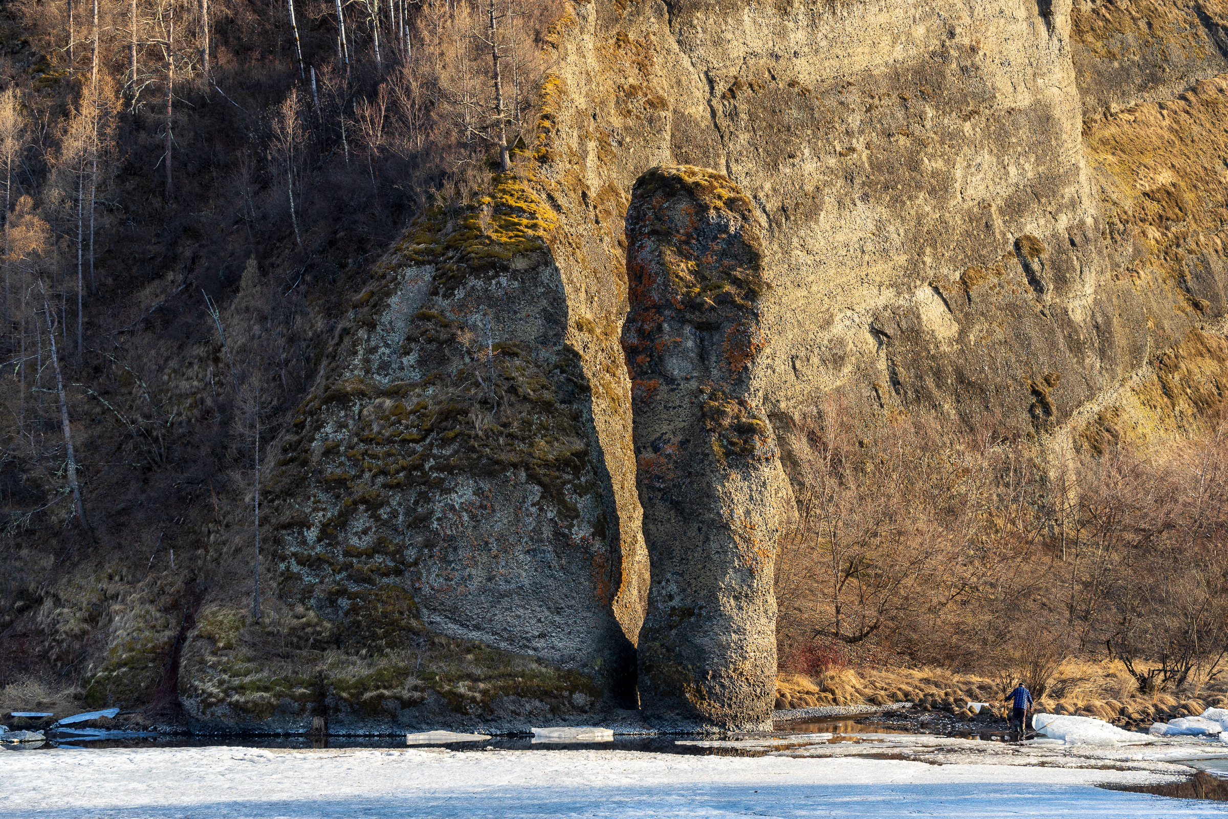 大自然的馈赠满山遍野的花,大自然的馈赠深山老林