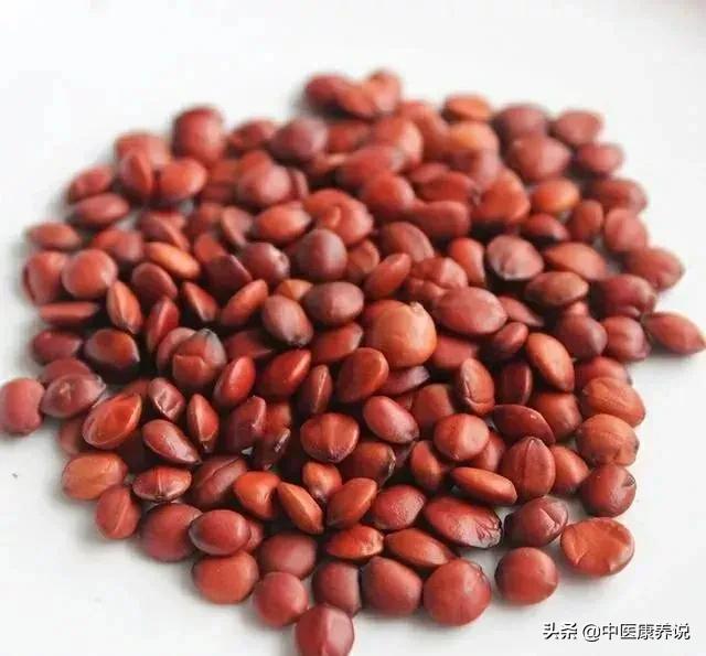 #药食同源篇#第七十一课“东方睡果”酸枣仁