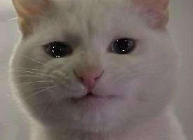 服务员阿姨高手在民间,高手在民间阿姨忘情冷雨夜