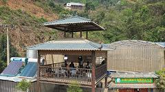 昔逐红尘千里归,昔逐红尘千里归出自哪里