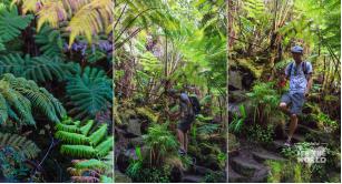 青春！需要一种最直接的方式，去亲近热情似火的HAWAII！