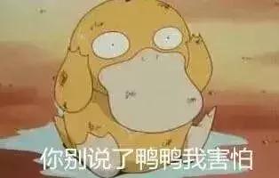 中国动物死亡事件,全国每年有多少动物死亡