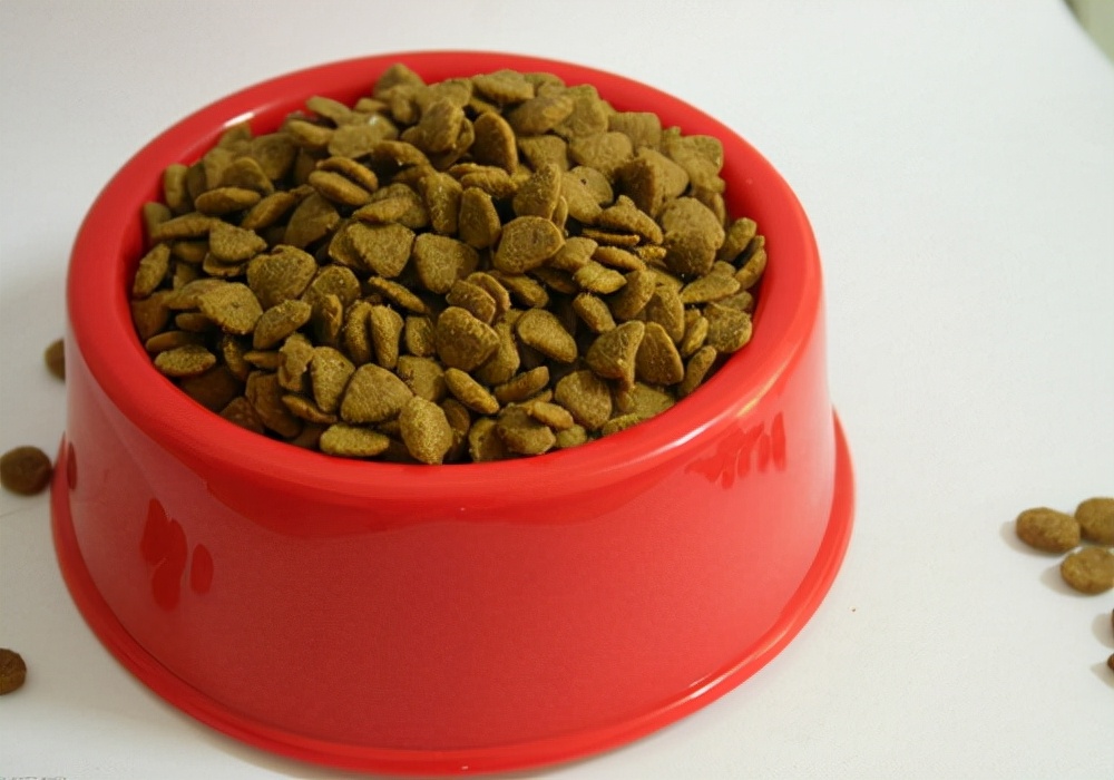 养宠物狗拉稀怎么办,狗狗呕吐拉稀有什么药可以治疗