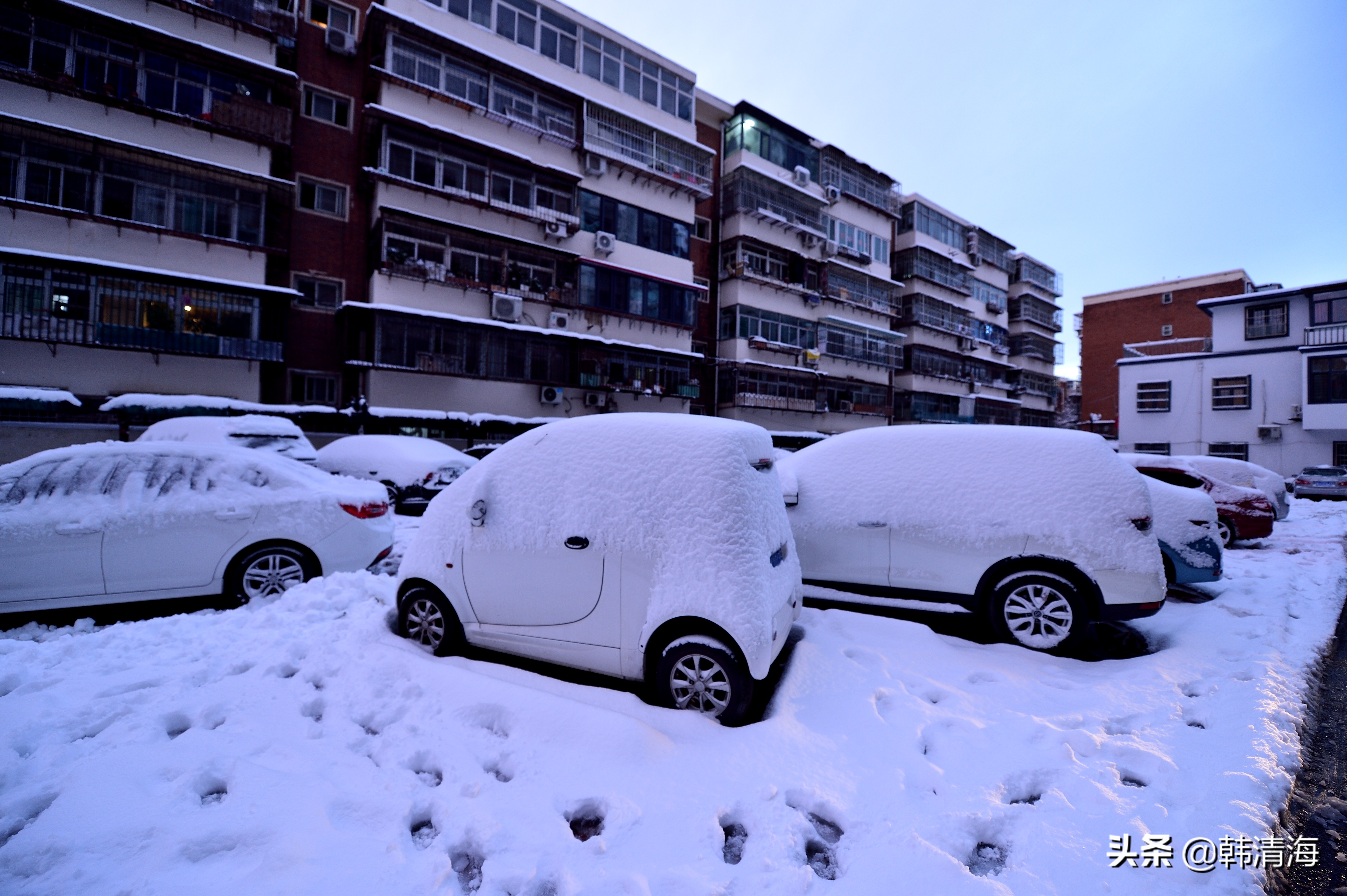 2021天津第一雪水畔花园小区装扮得更加圣洁和美丽