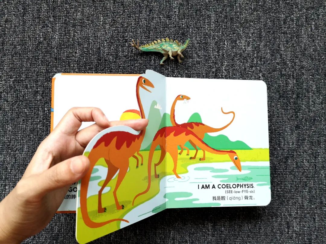 适合孩子看的恐龙科普书,适合5岁孩子看的恐龙科普书