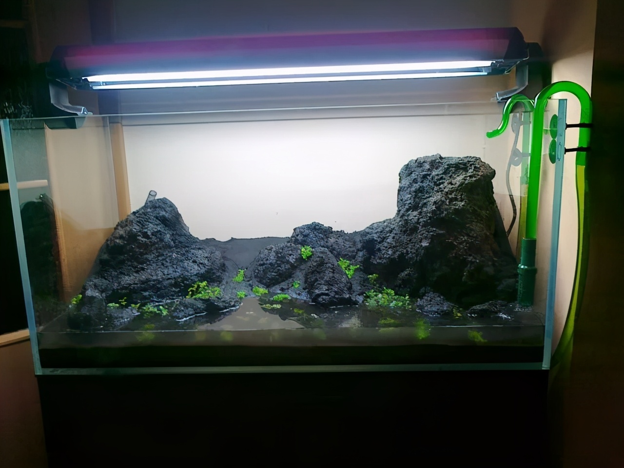 石上的迷你矮+血红宫廷，美的让人心醉