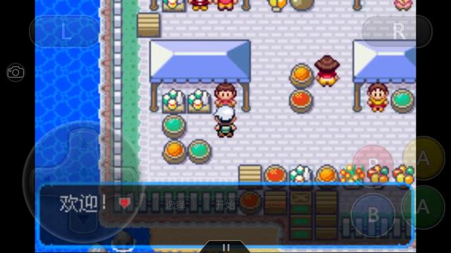 究极绿宝石华丽大赛,究极绿宝石4锦标赛怎么参加