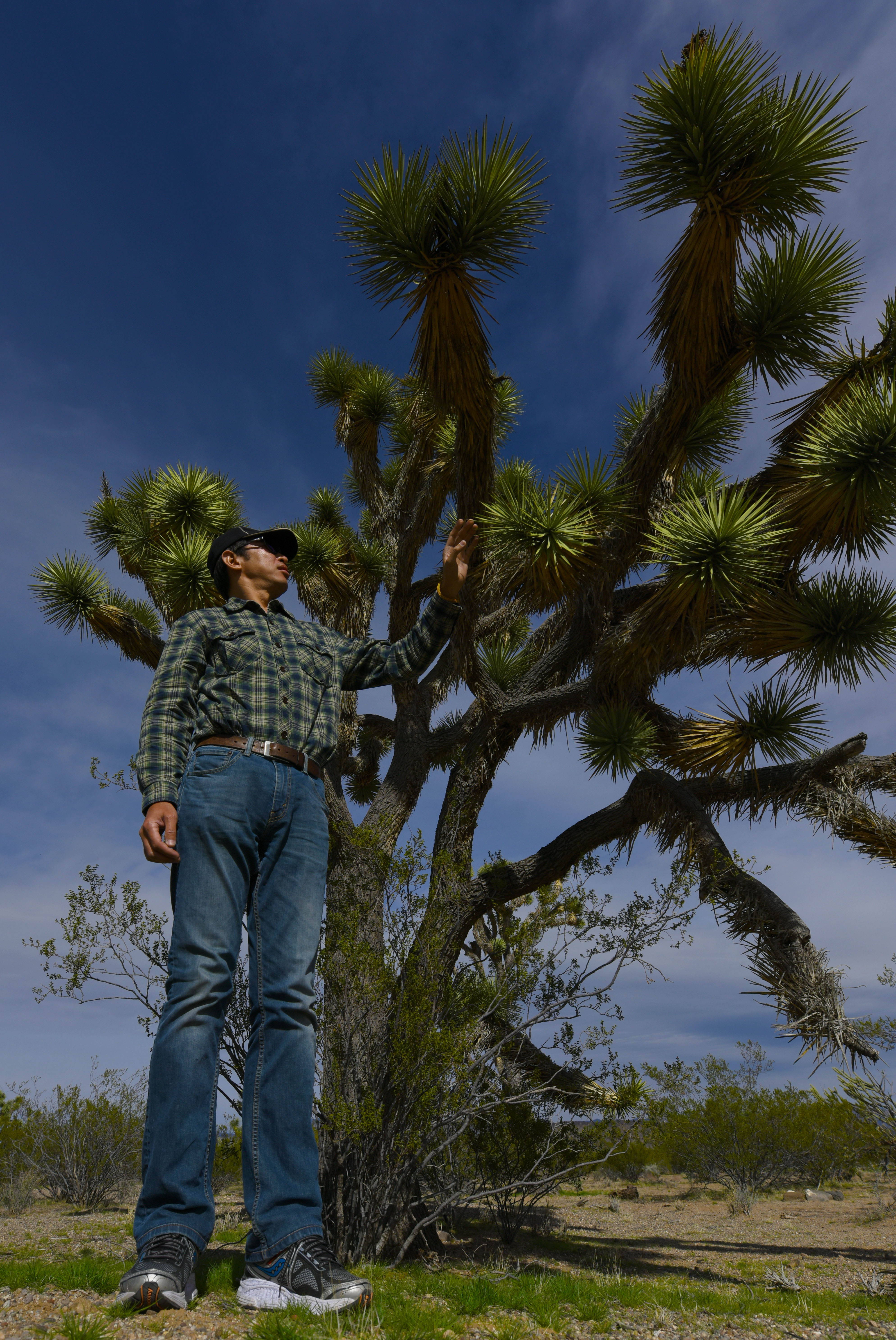 美国大峡谷壮丽风景,美国科罗拉多大峡谷奇观