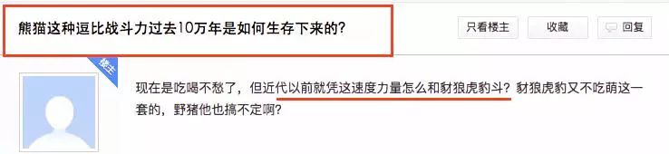 现在的熊出没大过年在哪里看,新年必看的熊出没