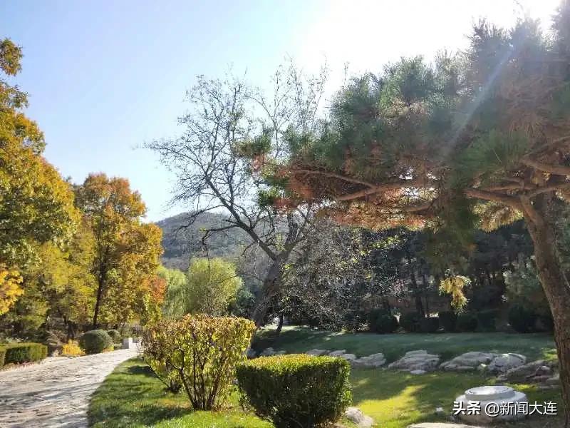 大连赏秋免费的地方,大连赏秋打卡地