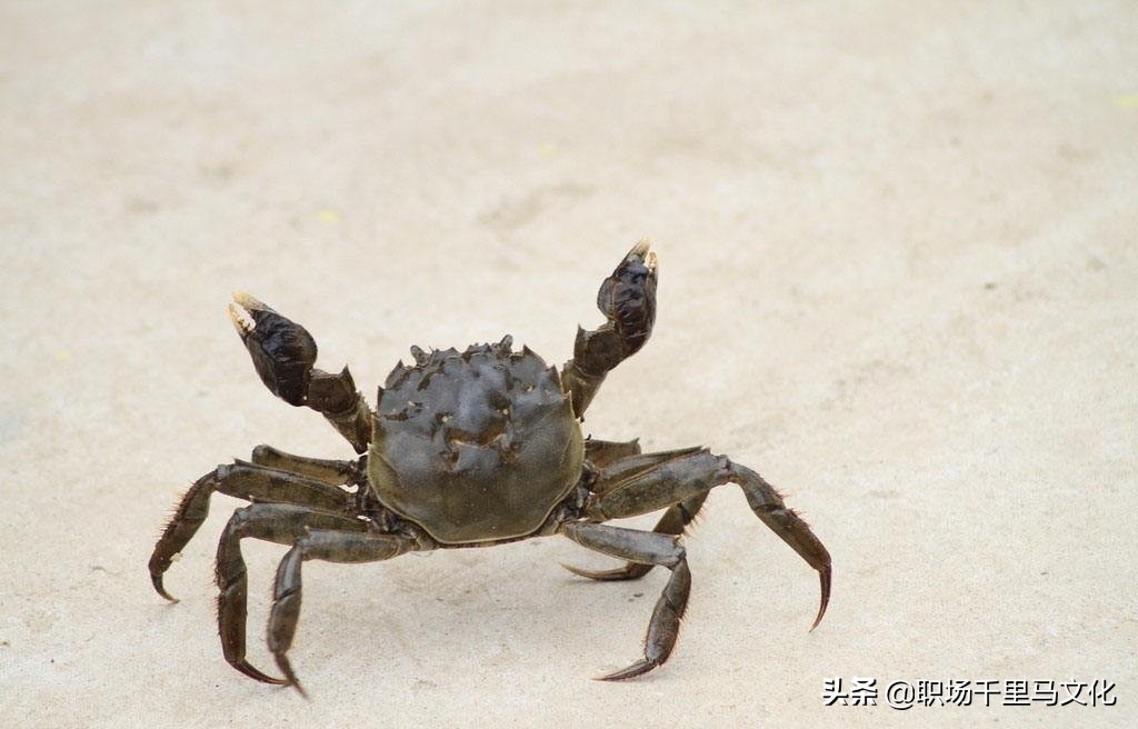 管理团队六大禁忌,论如何做好团队中层管理者