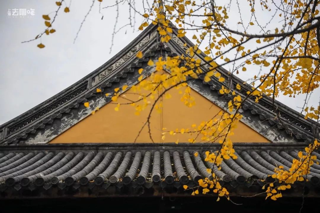 为什么不要离开上海？这是我听过最好的答案！