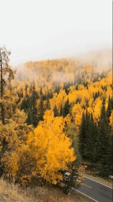 阿勒泰秋天有多美,秋天的新疆阿勒泰太美