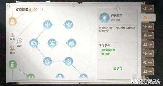 mmorpg到底玩什么,mmorpg为什么取消等级