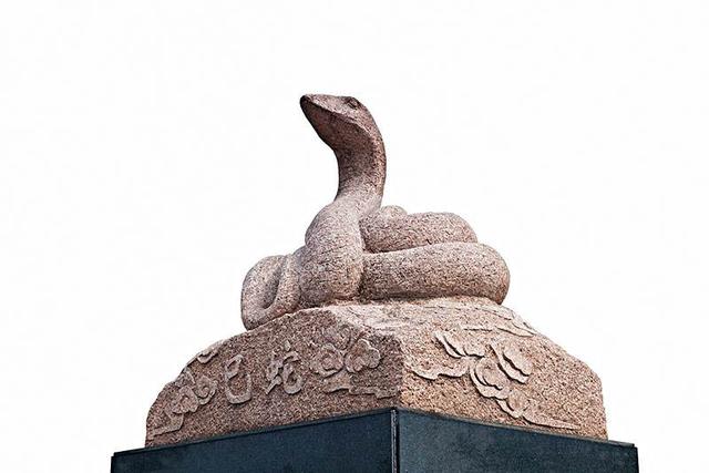 蛇是不是灵性的动物,蛇是灵性的动物