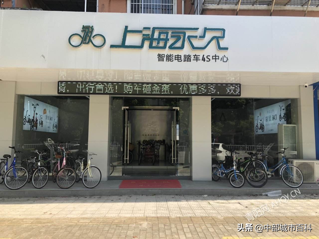 永久自行车和凤凰飞鸽比较,曾经的老三样