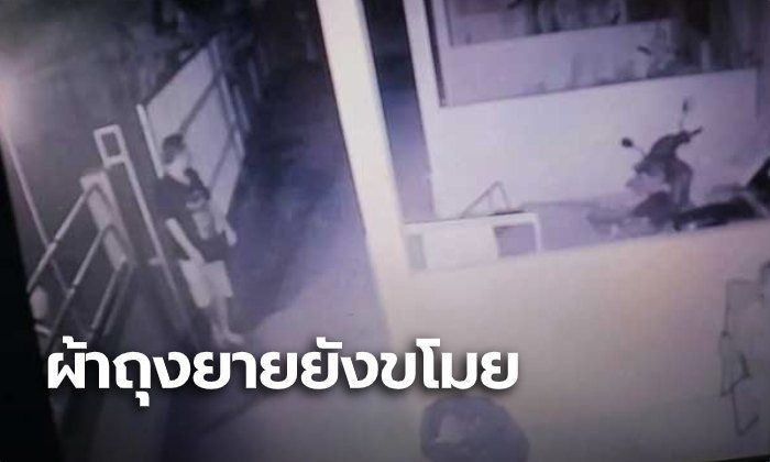 新加坡男子虐待小狗,泰国男子虐待15岁的狗