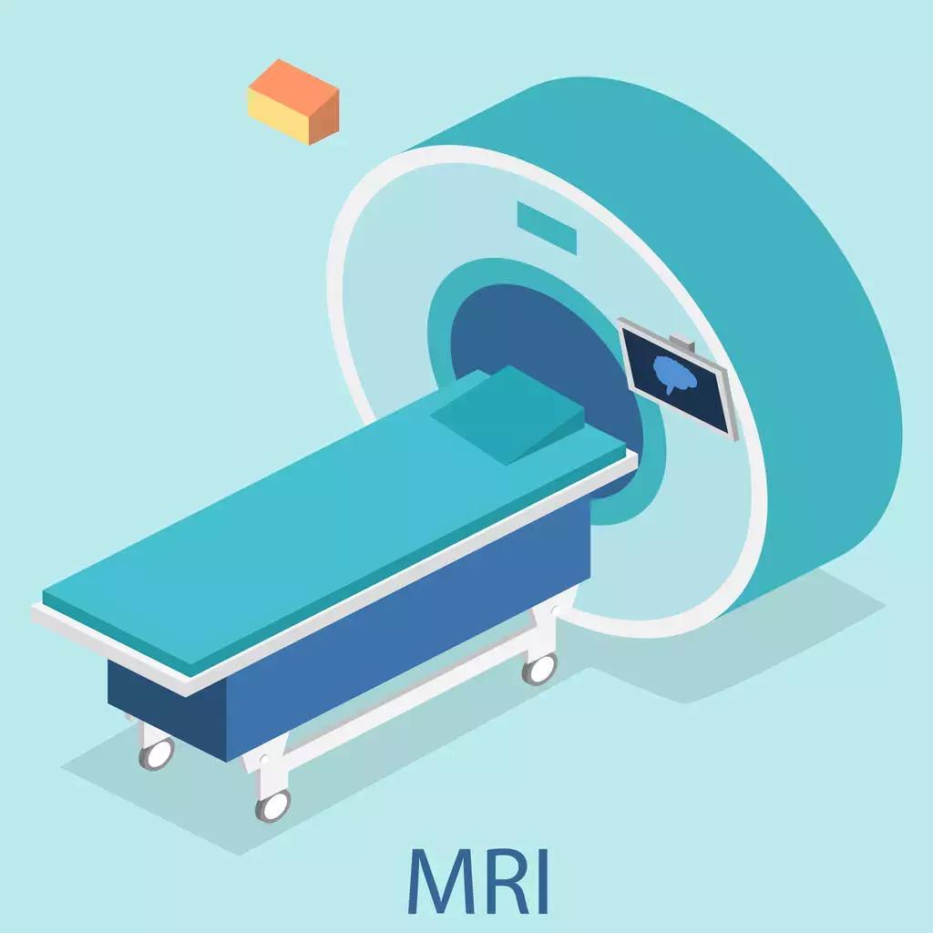 每个人的半月板都一样的吗,你见过长得跟你一模一样的人吗
