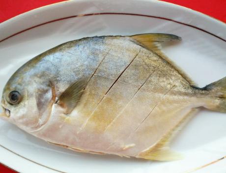 美食不可辜负家常菜清蒸鲳鱼,浙江菜红烧白鲳鱼的做法