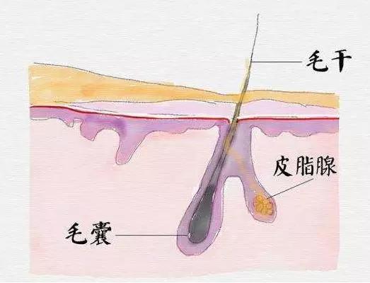 说说都如何治好痘痘的,一痘毁所有5个祛痘小技巧