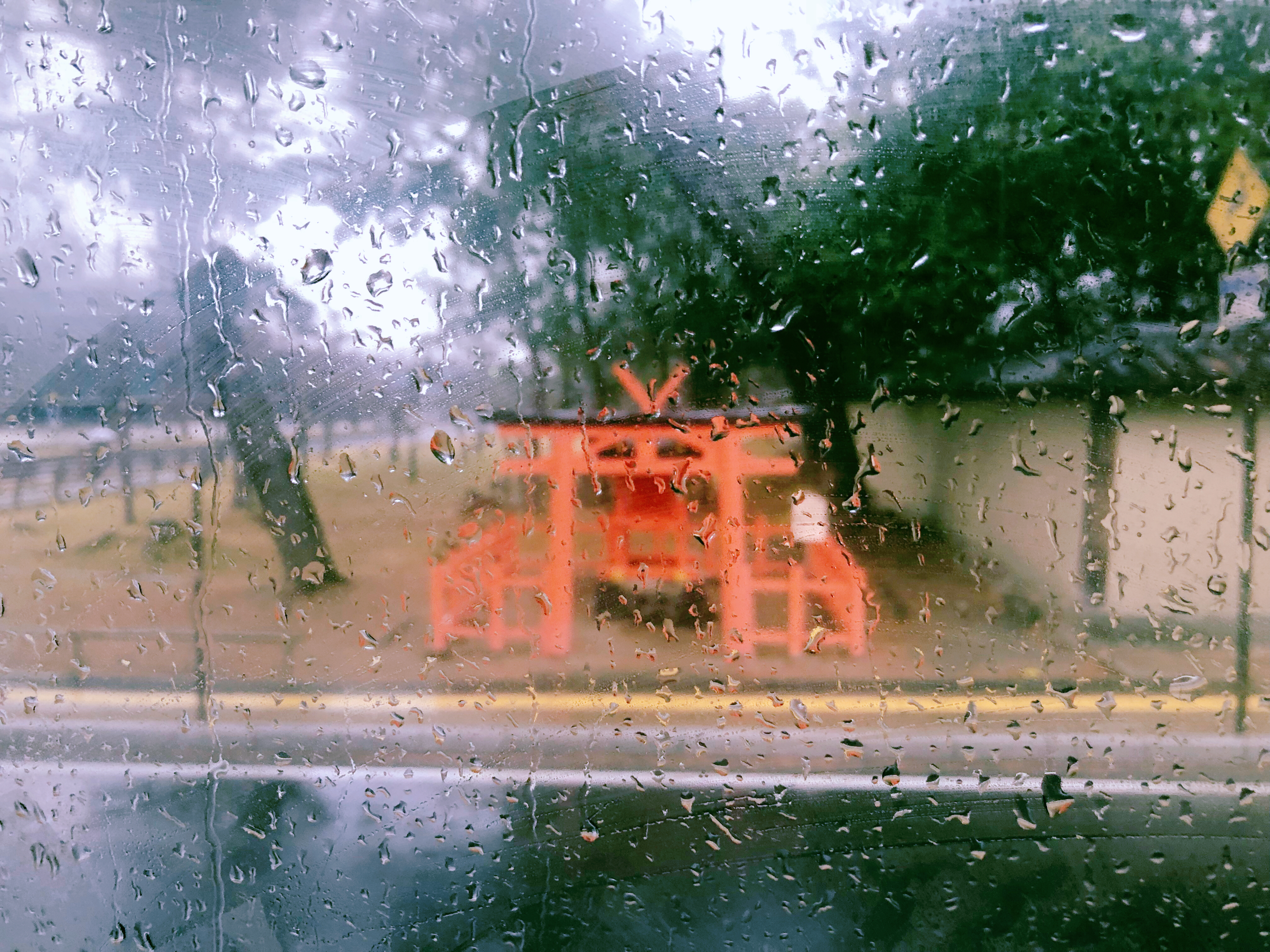 日本奈良公园遇见“神鹿”,日本奈良公园的鹿叫什么鹿