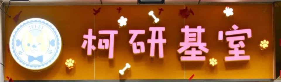 吸屁屁，短腿大耳肉嘟嘟，这家店进去就出不来了…