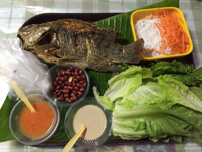 南宁至西双版纳旅游吃住行攻略,云南西双版纳旅游景点攻略自由行