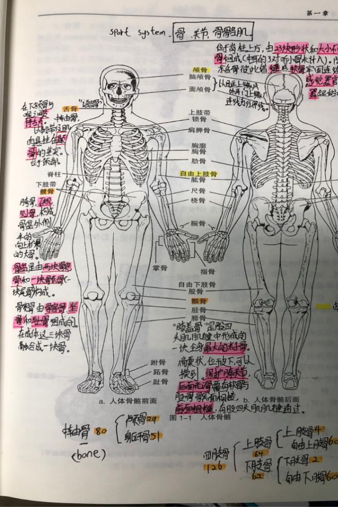 状元手写笔记好还是学霸笔记好,十大经典名校学霸笔记