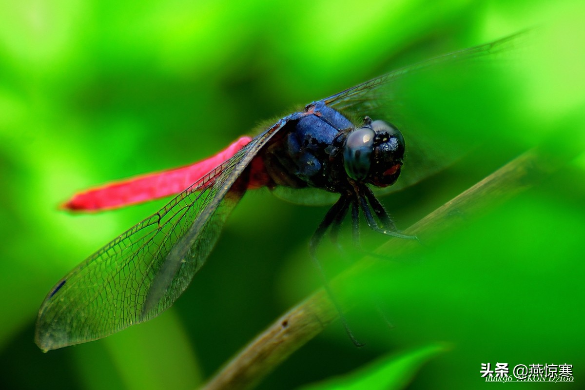 说说我用过的那些相机和镜头（3）：尼康篇