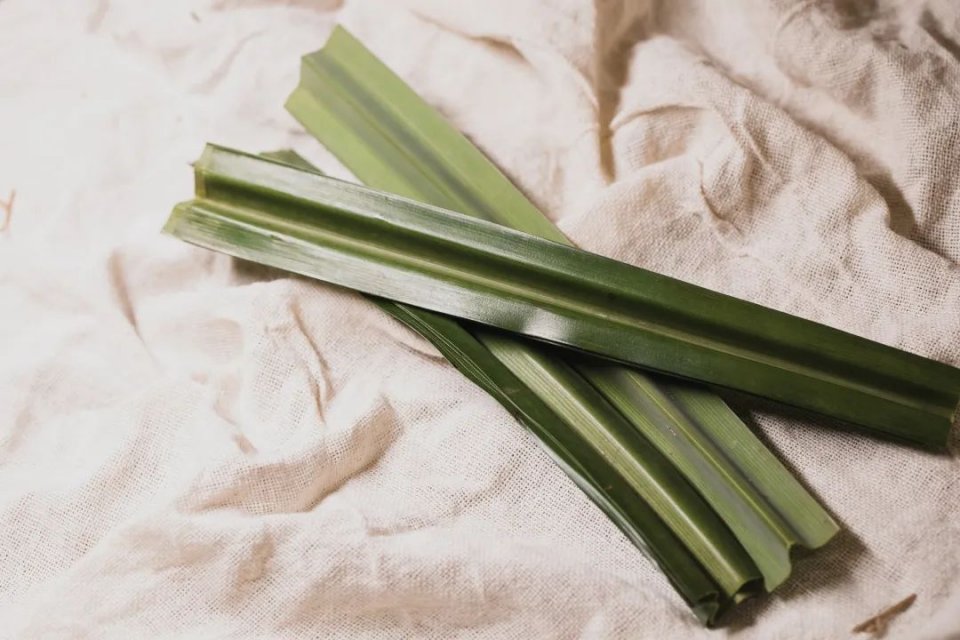 把整颗人参怼进龟苓膏里！论养生，还是深圳人厉害