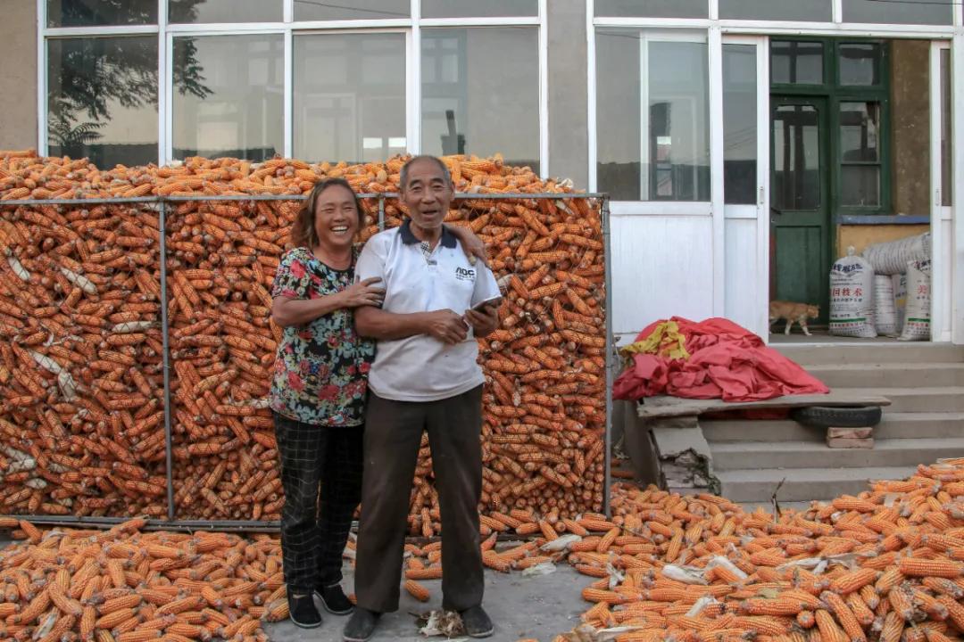 走向我们的小康生活微电影,走向我们的小康生活中国画