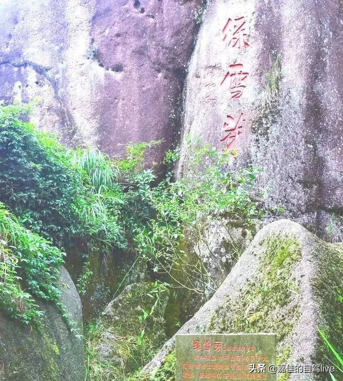 福鼎一日游学生攻略,福鼎两日自由行攻略