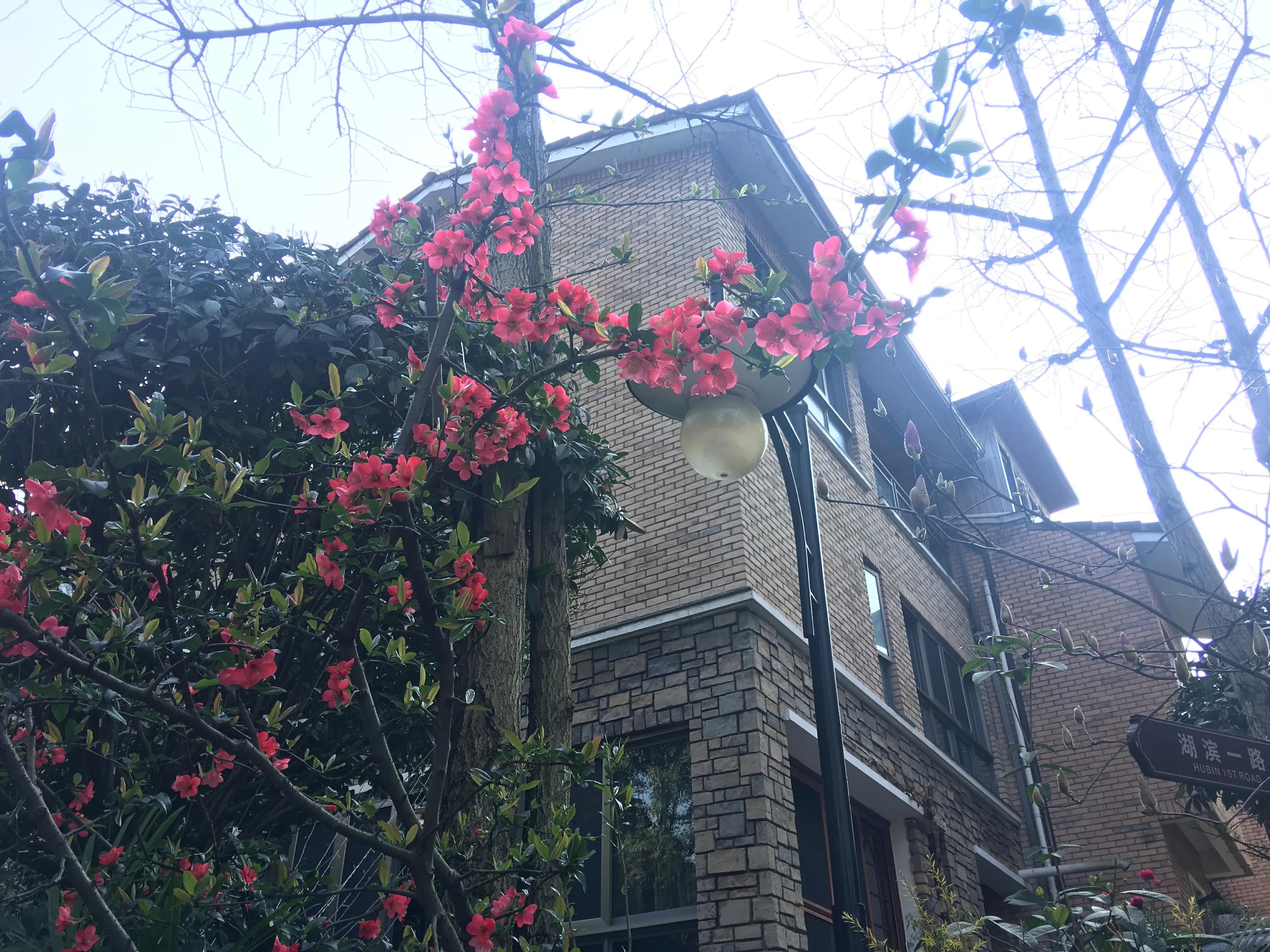 重庆龙湖蓝湖郡临湖,重庆龙湖蓝湖郡租房