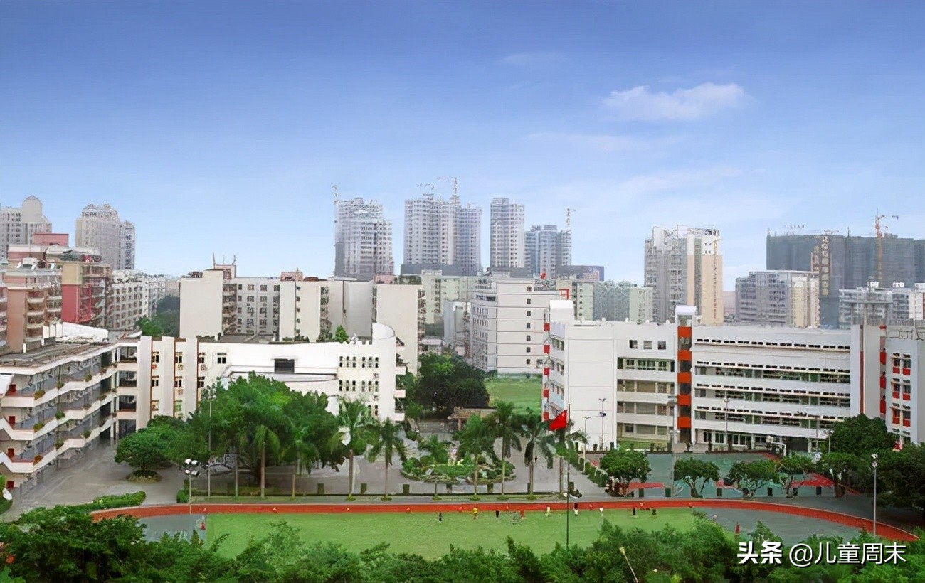 深圳龙岗十大民办小学排名,深圳南山区十大公立小学