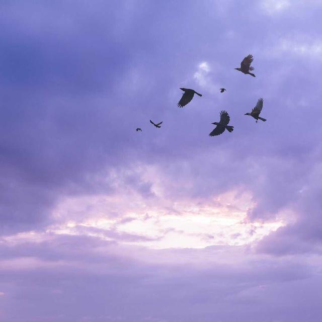 情感为什么割舍不断,不要等到失去才懂得珍惜句子图片