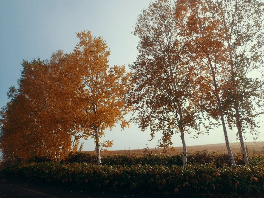日本从南到北旅游路线,从南游到北