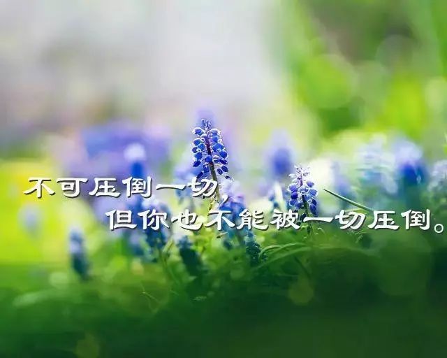 不要总说“明天”,世界上没有比现在还更有意义