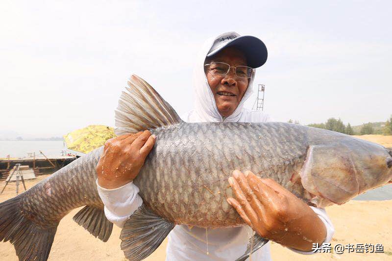 化氏和天元的江湖恩怨,化氏与天元的恩怨