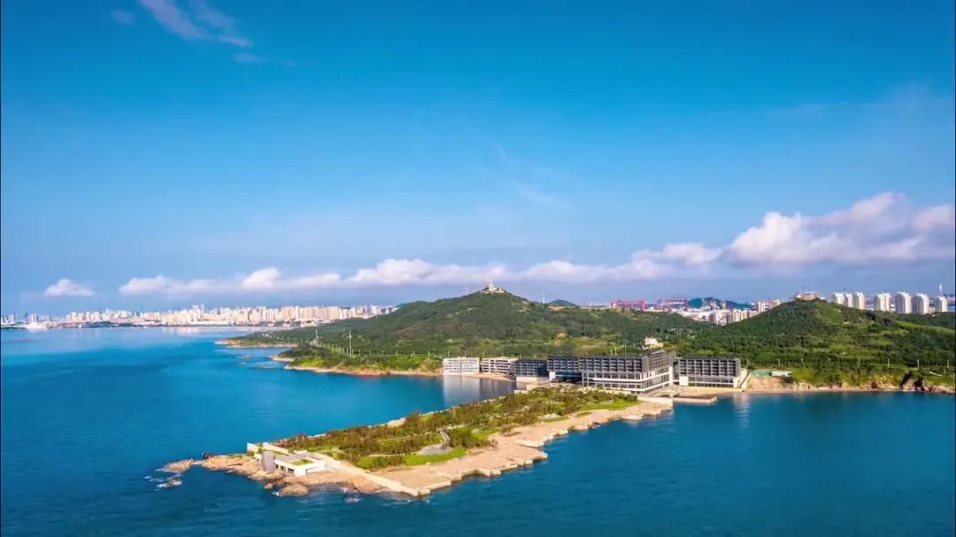 当代艺术家周星驰,上海当代艺术周