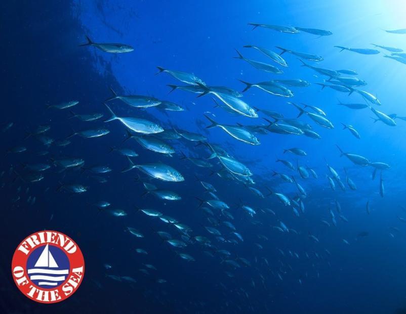 加班熬夜点外卖,加班熬夜肝脏和神经不好