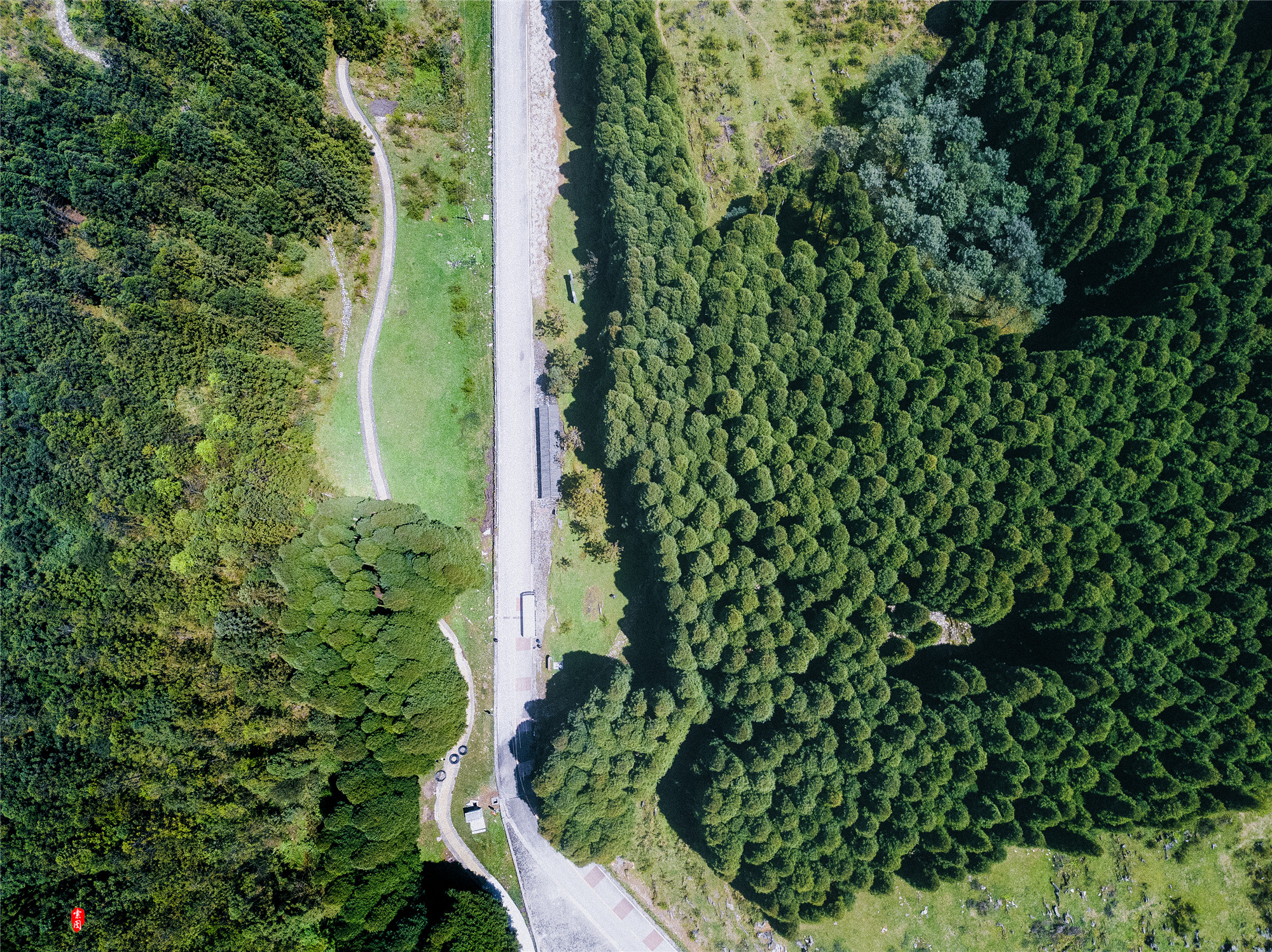 重庆森林拍摄打卡景点,秋冬石柱适合拍照的地方
