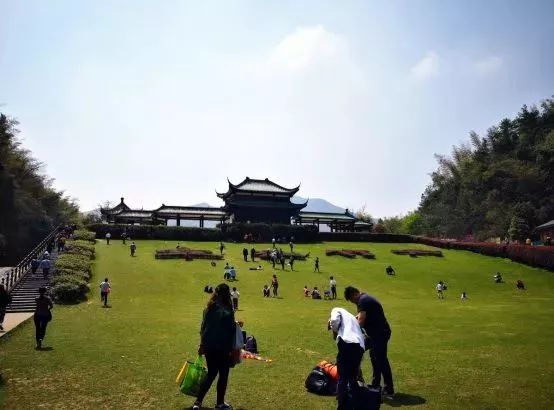 不负假期不负青春,不负韶光享受春日