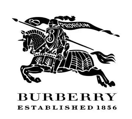 香奈儿是顶级奢侈品牌吗,2021全球奢侈品排行榜第一位品牌