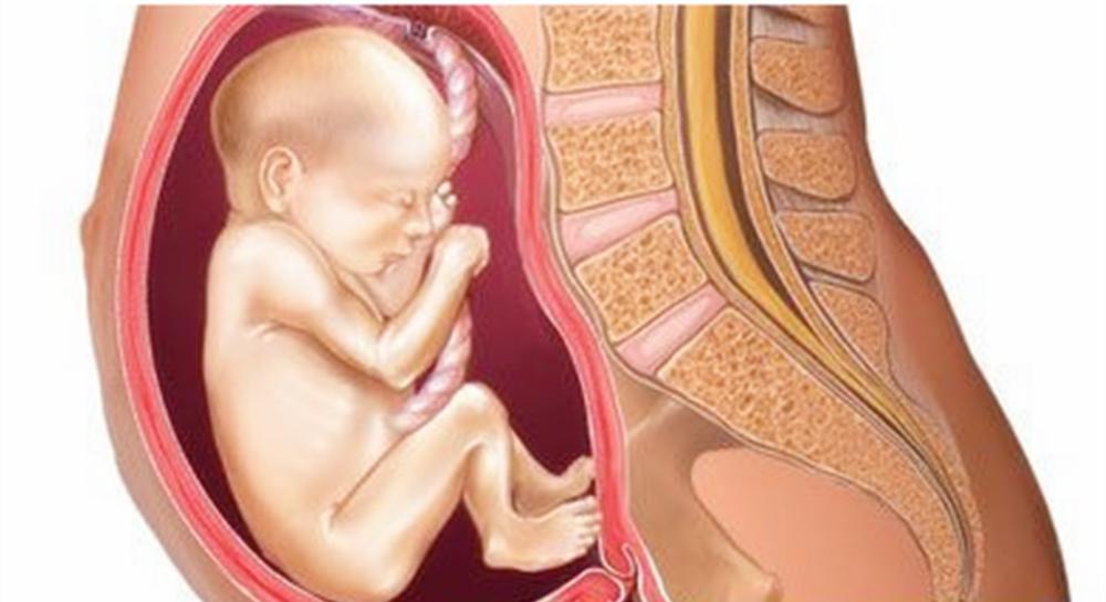 孕妈妈手摸哪里胎宝宝动哪里,胎宝宝会在妈妈身体的什么位置