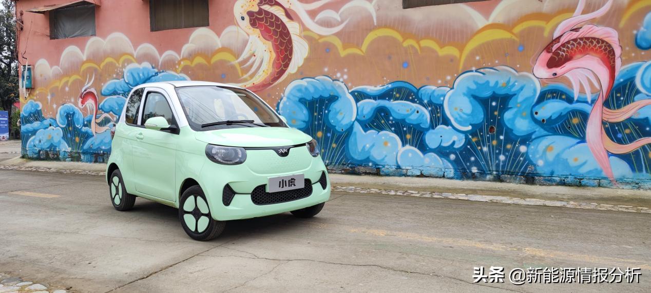 适合新手小白的第一辆车推荐,新手可爱小车