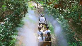 武汉周边500公里内避暑度假好去处,武汉附近自驾游避暑胜地